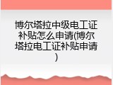 博尔塔拉中级电工证补贴怎么申请(博尔塔拉电工证补贴申请)