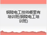 铜陵电工技师哪里有培训班(铜陵电工培训班)