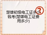 楚雄初级电工证多少钱考(楚雄电工证费用多少)