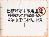 巴彦淖尔中级电工证补贴怎么申请(巴彦淖尔电工证补贴申请)