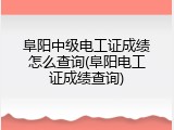 阜阳中级电工证成绩怎么查询(阜阳电工证成绩查询)