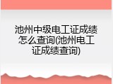 池州中级电工证成绩怎么查询(池州电工证成绩查询)