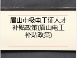 眉山中级电工证人才补贴政策(眉山电工补贴政策)