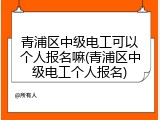 青浦区中级电工可以个人报名嘛(青浦区中级电工个人报名)