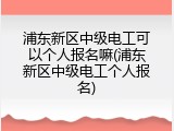 浦东新区中级电工可以个人报名嘛(浦东新区中级电工个人报名)