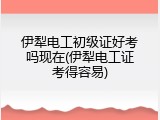 伊犁电工初级证好考吗现在(伊犁电工证考得容易)