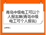 青岛中级电工可以个人报名嘛(青岛中级电工可个人报名)