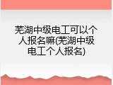 芜湖中级电工可以个人报名嘛(芜湖中级电工个人报名)
