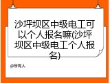 沙坪坝区中级电工可以个人报名嘛(沙坪坝区中级电工个人报名)