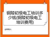 铜陵初级电工培训多少钱(铜陵初级电工培训费用)