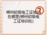 郴州初级电工证培训在哪里(郴州初级电工证培训处)