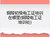 铜陵初级电工证培训在哪里(铜陵电工证培训处)