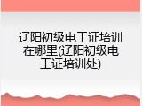 辽阳初级电工证培训在哪里(辽阳初级电工证培训处)