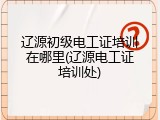 辽源初级电工证培训在哪里(辽源电工证培训处)