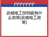 武威电工技师能有什么政策(武威电工政策)