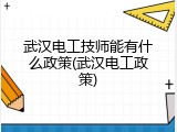武汉电工技师能有什么政策(武汉电工政策)