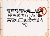 葫芦岛高级电工证实操考试内容(葫芦岛高级电工实操考试内容)