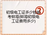 初级电工证多少钱能考蚌埠(蚌埠初级电工证费用多少)