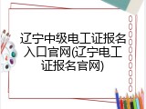 辽宁中级电工证报名入口官网(辽宁电工证报名官网)