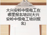 大兴安岭中级电工在哪里报名培训(大兴安岭中级电工培训报名)