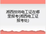 湘西技师电工证在哪里报考(湘西电工证报考处)