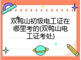 双鸭山初级电工证在哪里考的(双鸭山电工证考处)