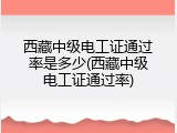 西藏中级电工证通过率是多少(西藏中级电工证通过率)