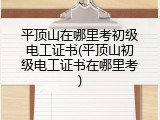 平顶山在哪里考初级电工证书(平顶山初级电工证书在哪里考)