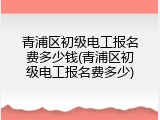 青浦区初级电工报名费多少钱(青浦区初级电工报名费多少)