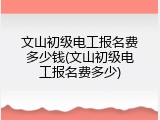 文山初级电工报名费多少钱(文山初级电工报名费多少)