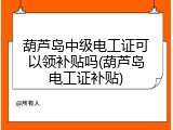 葫芦岛中级电工证可以领补贴吗(葫芦岛电工证补贴)
