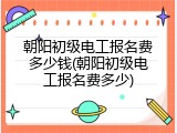 朝阳初级电工报名费多少钱(朝阳初级电工报名费多少)