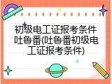 初级电工证报考条件吐鲁番(吐鲁番初级电工证报考条件)