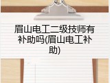 眉山电工二级技师有补助吗(眉山电工补助)