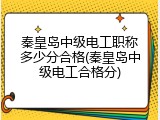 秦皇岛中级电工职称多少分合格(秦皇岛中级电工合格分)