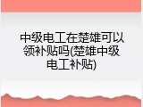 中级电工在楚雄可以领补贴吗(楚雄中级电工补贴)