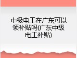 中级电工在广东可以领补贴吗(广东中级电工补贴)